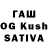 Галлюциногенные грибы GOLDEN TEACHER M7even OWner