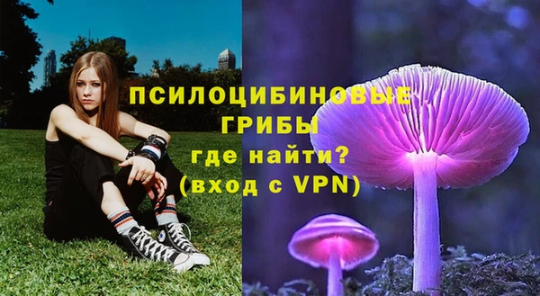 ALPHA PVP Алзамай