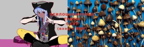ALPHA PVP Алзамай