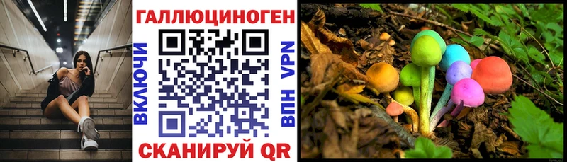 Галлюциногенные грибы прущие грибы  Протвино 